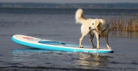 Urlaub mit Hund in Deutschland - Ferienwohnung im Fränkischen Seenland